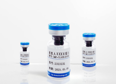 重组人FLT3 Ligand蛋白<i>GMP级别</i>