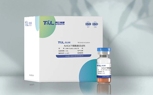 ag尊龙z6mg-ActCel T细胞激活试剂