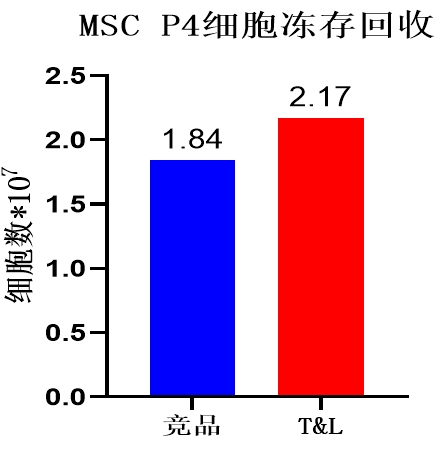 ag尊龙z6mg细胞保存液