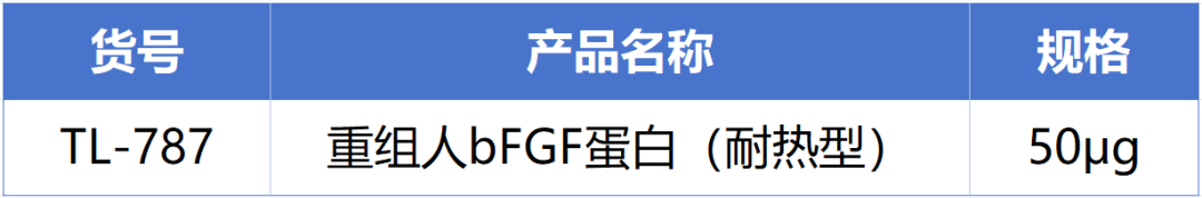 ag尊龙z6mg新一代耐热型重组人bFGF蛋白正式发布！高温环境下的修复王者! 