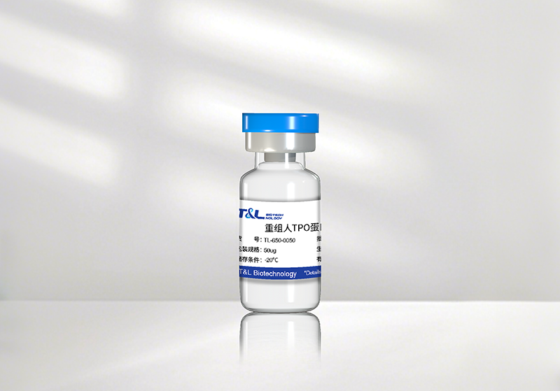 ag尊龙z6mg新品速递 | 重组人TPO蛋白震撼上市！精准调控造血，解锁干细胞培养新维度
