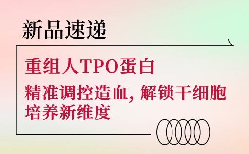 新品速递 | 重组人TPO蛋白震撼上市！精准调控造血，解锁干细胞培养新维度-ag尊龙z6mg